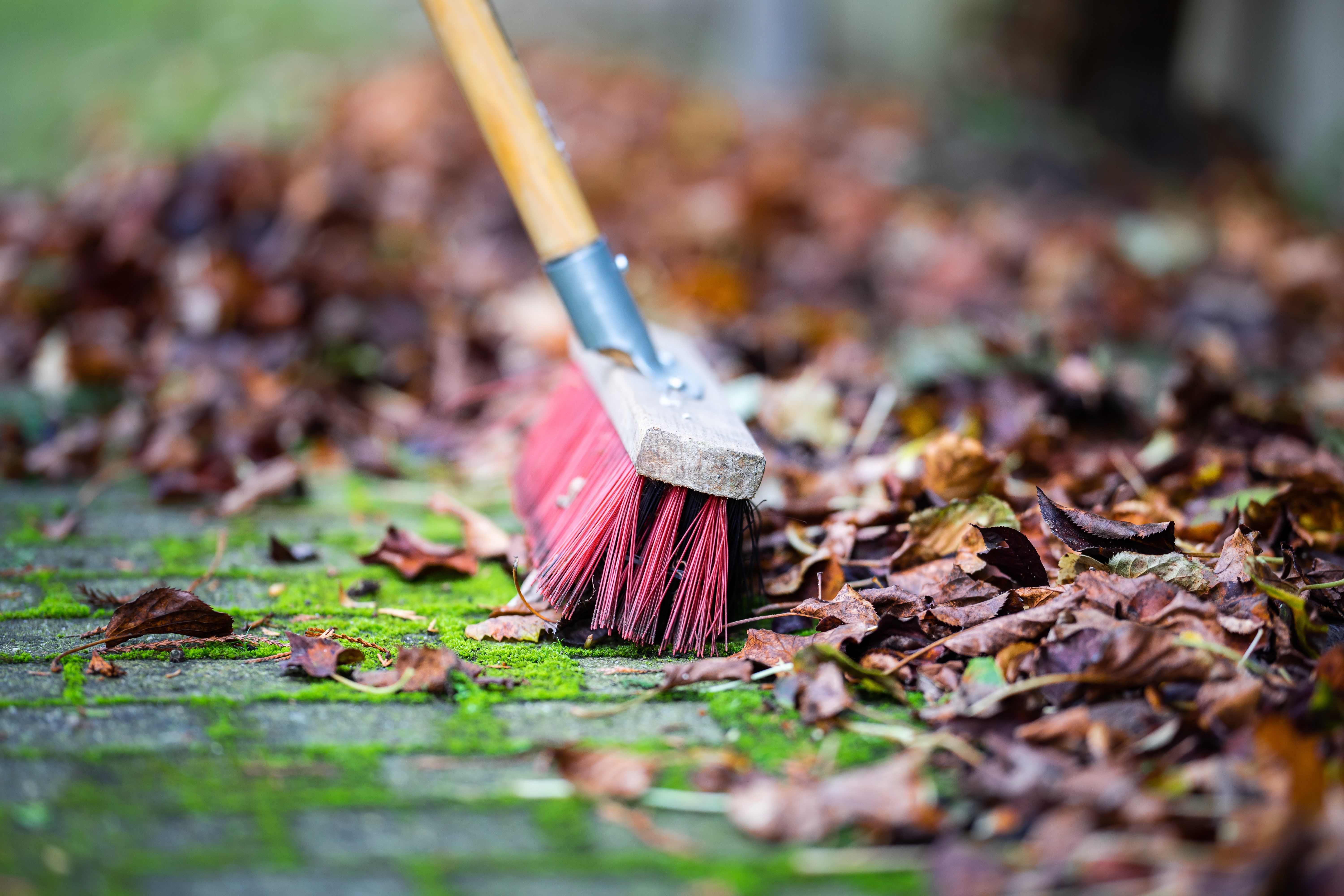 Dekorationsbild för Snart startar hämtning av trädgårdsavfall