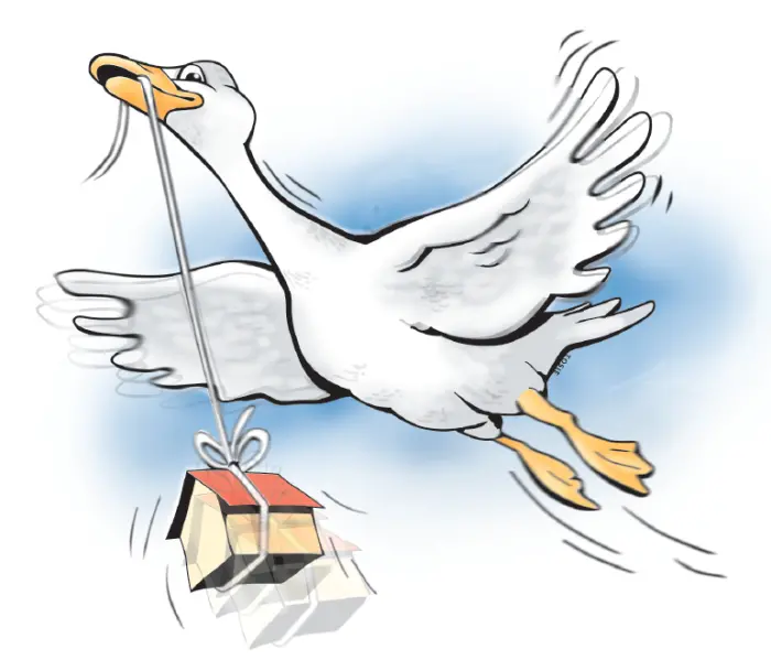 Dekorationsbild för NAV i toppskiktet